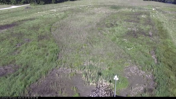 Cell 1_24-05-25_08-44-33-34