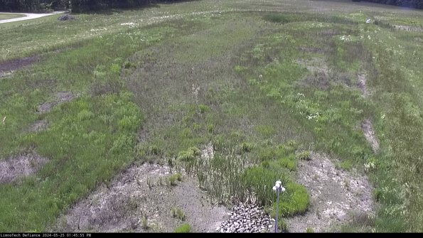 Cell 1_24-05-25_13-45-56-31