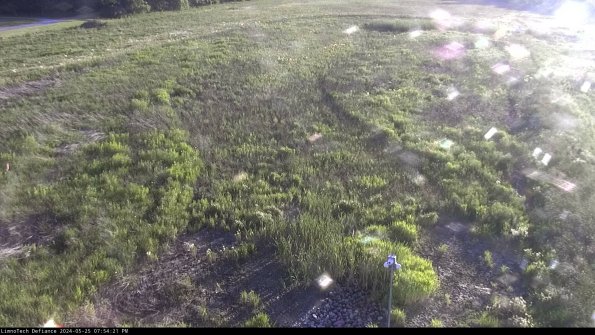 Cell 1_24-05-25_19-54-22-33