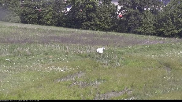 Cell 2 to 3_24-05-25_10-25-41-37