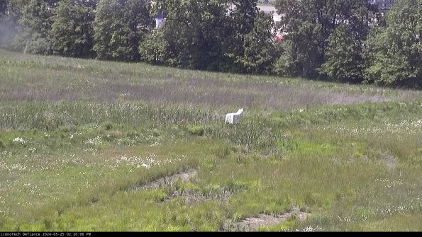 Cell 2 to 3_24-05-25_14-20-06-47