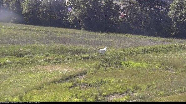 Cell 2 to 3_24-05-25_17-07-35-51