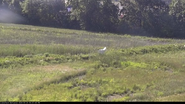 Cell 2 to 3_24-05-25_17-41-05-39