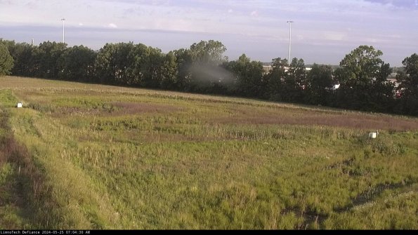 Cell 2_24-05-25_07-04-31-37