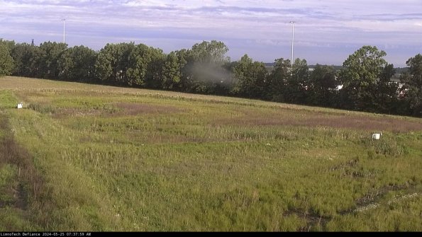 Cell 2_24-05-25_07-38-00-42