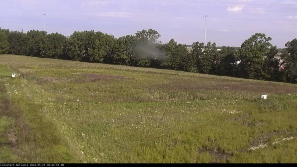 Cell 2_24-05-25_08-45-00-33