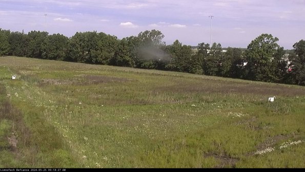 Cell 2_24-05-25_09-18-28-35