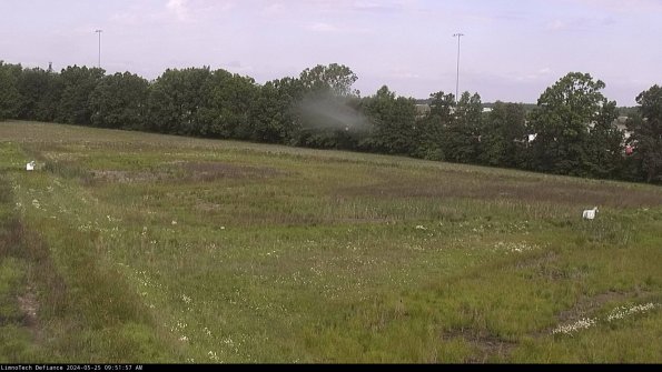 Cell 2_24-05-25_09-51-58-34