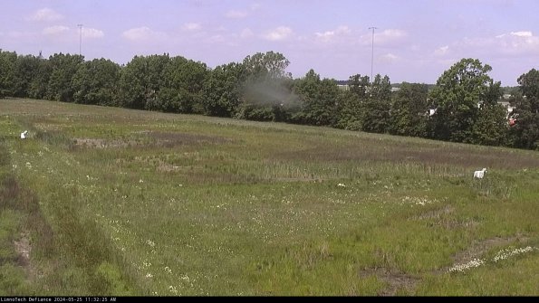 Cell 2_24-05-25_11-32-26-33