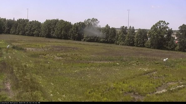 Cell 2_24-05-25_14-19-53-36