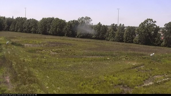 Cell 2_24-05-25_14-53-23-35