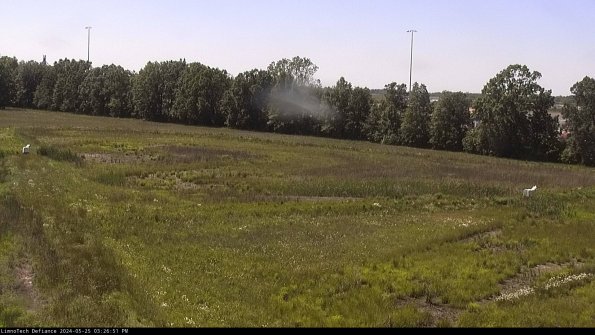 Cell 2_24-05-25_15-26-52-37