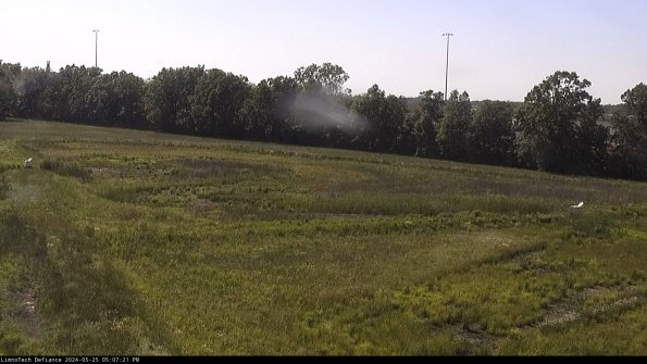 Cell 2_24-05-25_17-07-22-39