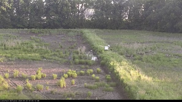 Cell 3 to 4_24-05-25_07-05-13-31