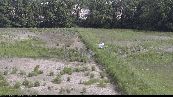 Cell 3 to 4_24-05-25_10-26-09-33