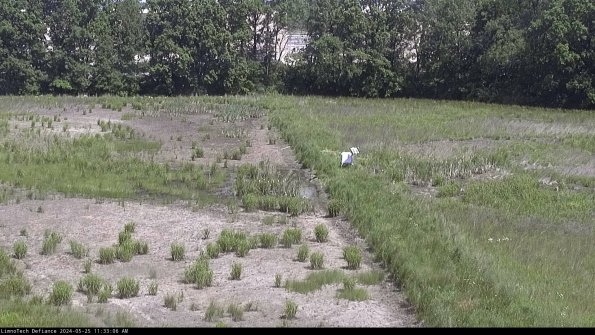 Cell 3 to 4_24-05-25_11-33-07-34