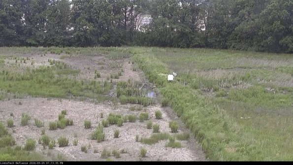 Cell 3 to 4_24-05-25_13-13-36-33