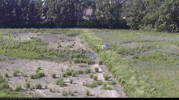 Cell 3 to 4_24-05-25_17-08-04-33