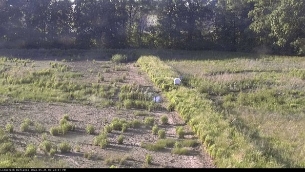 Cell 3 to 4_24-05-25_19-22-02-31