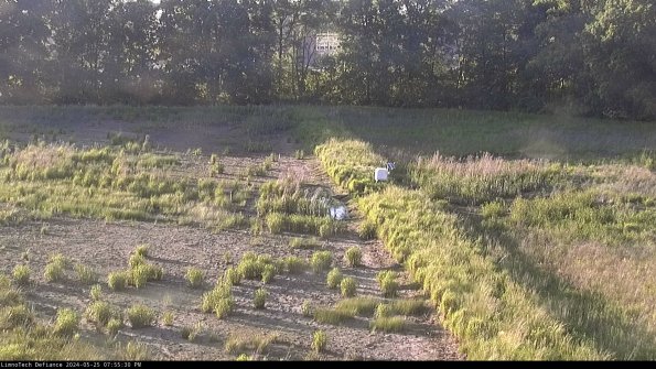 Cell 3 to 4_24-05-25_19-55-31-33