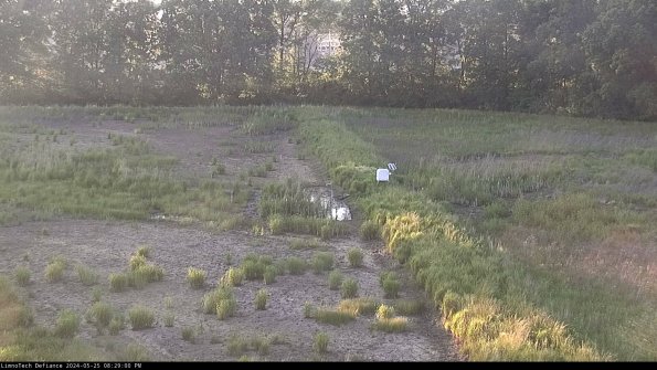 Cell 3 to 4_24-05-25_20-29-01-35