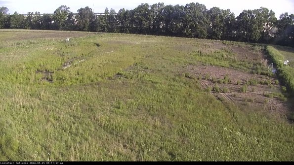 Cell 3_24-05-25_08-11-58-31