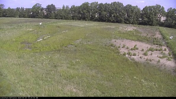 Cell 3_24-05-25_10-25-55-59