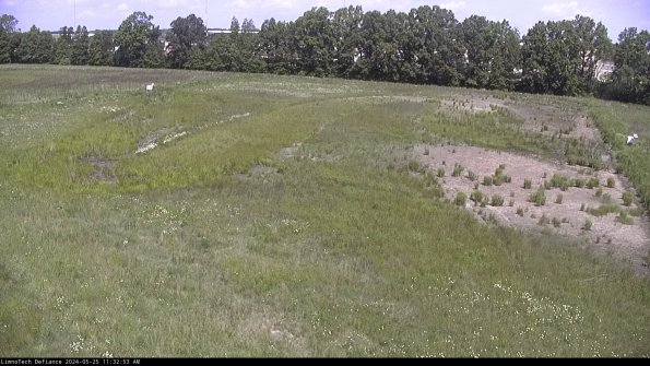 Cell 3_24-05-25_11-32-53-56