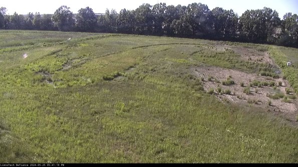 Cell 3_24-05-25_17-41-19-57