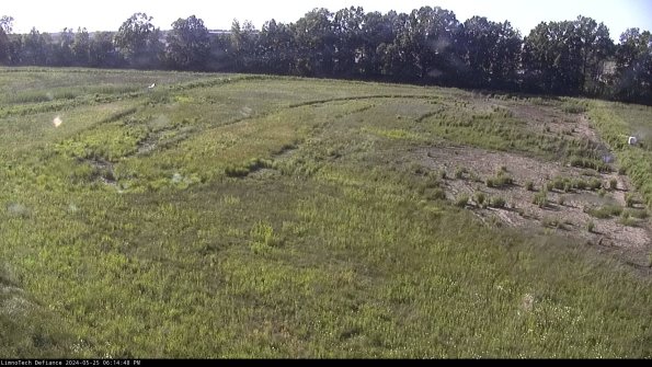 Cell 3_24-05-25_18-14-49-33