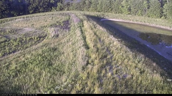 Cell 4 to Basin_24-05-25_19-56-15-34