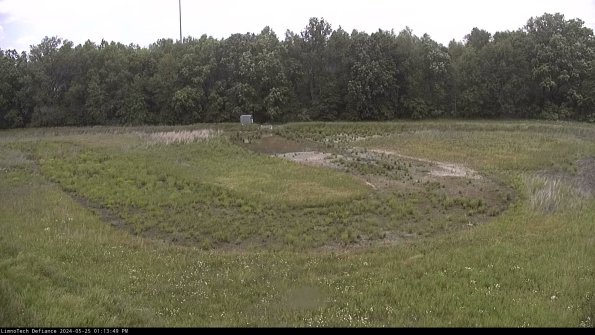 Cell 4_24-05-25_13-13-50-35