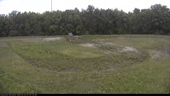 Cell 4_24-05-25_13-47-19-33