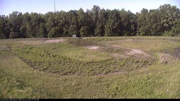 Cell 4_24-05-25_18-15-17-32