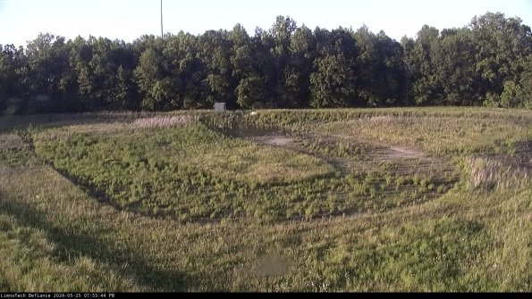 Cell 4_24-05-25_19-55-45-31