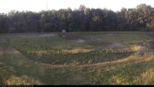 Cell 4_24-05-25_20-29-15-33