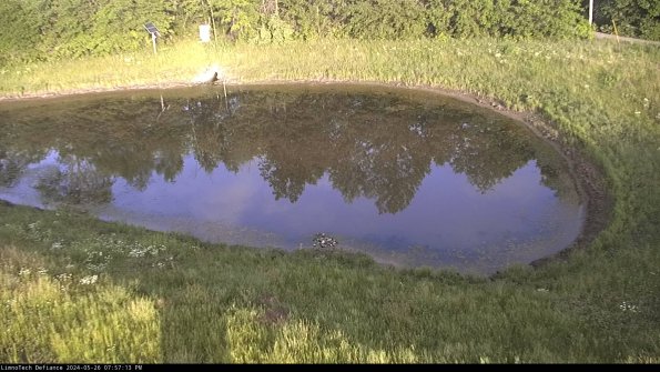 Basin Right_24-05-26_19-57-14-35