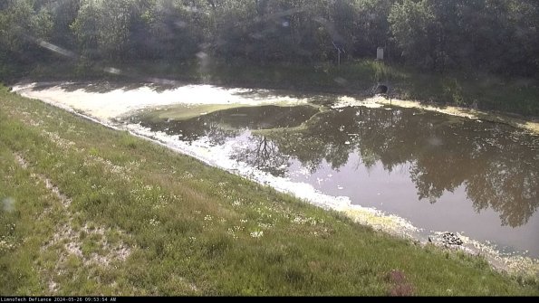 Basin_24-05-26_09-53-55-40