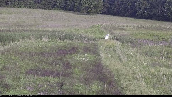 Cell 1 to 2_24-05-26_07-38-05-34