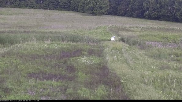 Cell 1 to 2_24-05-26_08-11-35-36