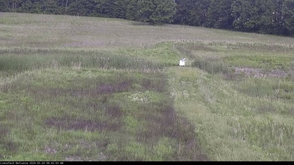 Cell 1 to 2_24-05-26_08-45-04-34