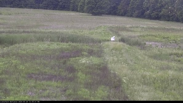 Cell 1 to 2_24-05-26_12-39-32-35