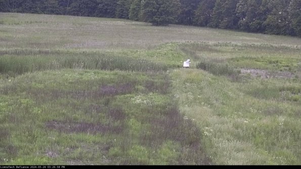 Cell 1 to 2_24-05-26_15-26-59-35