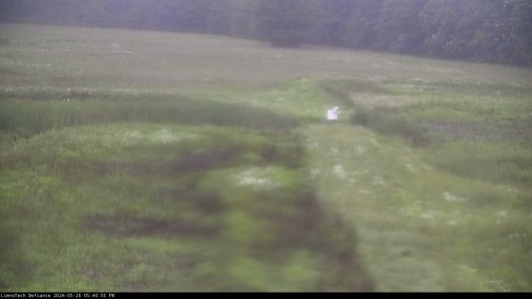 Cell 1 to 2_24-05-26_17-40-56-33