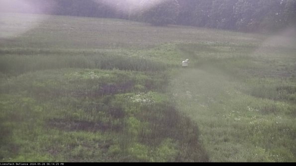 Cell 1 to 2_24-05-26_18-14-26-34