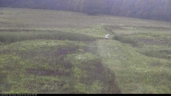 Cell 1 to 2_24-05-26_18-47-55-33