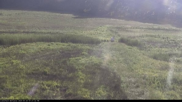 Cell 1 to 2_24-05-26_19-21-23-31