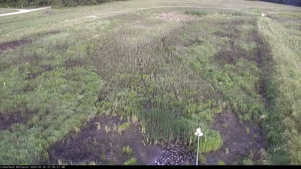 Cell 1_24-05-26_07-04-22-34