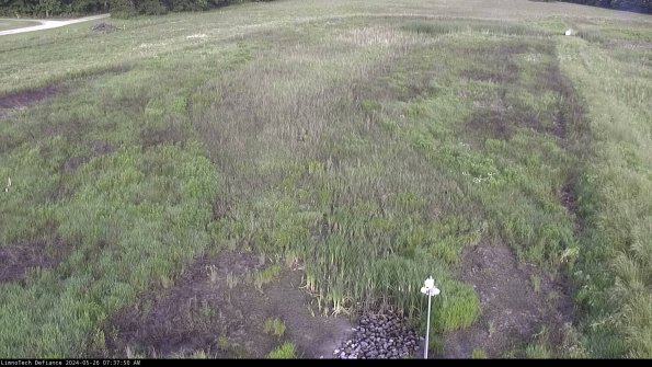 Cell 1_24-05-26_07-37-51-36