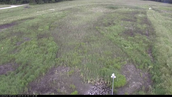 Cell 1_24-05-26_08-11-21-34